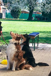 WhatsApp-Bild-2025-04-17-um-23.04.49_d39da071-1