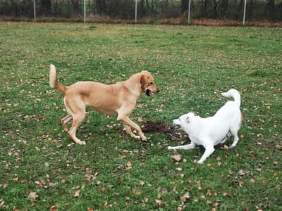 WhatsApp-Image-2025-04-17-at-23.15.03-2