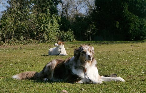 cropped-WhatsApp-Bild-2025-04-17-um-23.04.49_df8be9cf-scaled-1-1